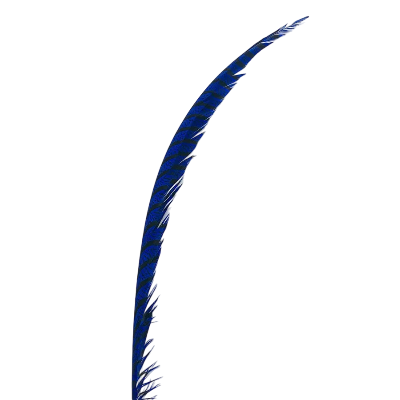Алмазный фазан TFF Amherst Pheasant Center Tail Section Kingfisher Blue (США)