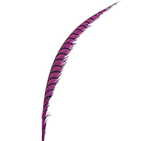 Картинка Алмазный фазан TFF Amherst Pheasant Center Tail Section Hot Pink (США) от магазина Главный Рыболовный