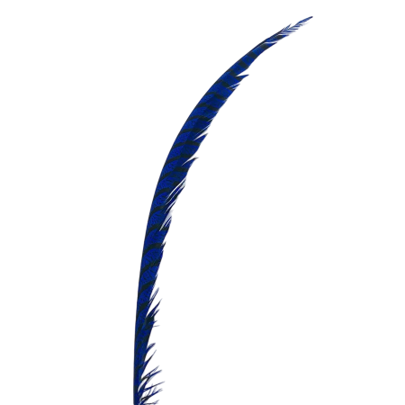 Картинка Алмазный фазан TFF Amherst Pheasant Center Tail Section Kingfisher Blue (США) от магазина Главный Рыболовный